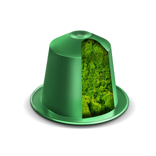 MATCHA